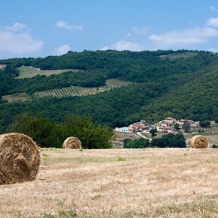 Spa Resort Fonte Alla Lepre Riparbella Dış mekan fotoğraf